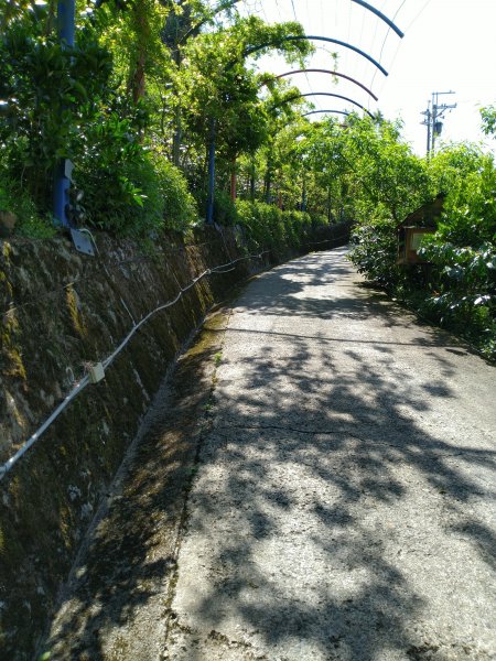 2022-04-09 迷糊步道_福山古道O型1668184