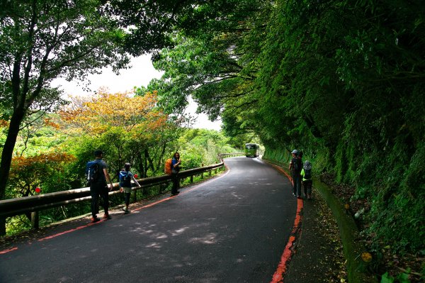 淡水天元宮步行到竹子湖，綠意盎然的古道路徑。一切都是為了吃飯。1347619