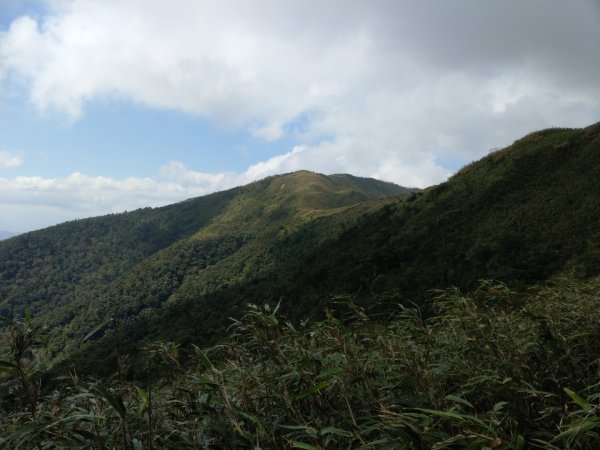 宜蘭縣聖母登山步道711800