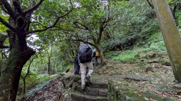 114.11.01旅聯網21週年活動之七星山-七星山東峰-七星公園-夢幻湖2928892