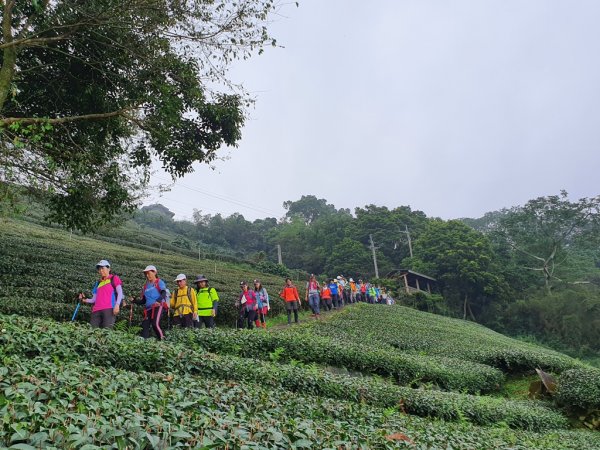 【雲嘉】後棟山連走大二尖山1478477