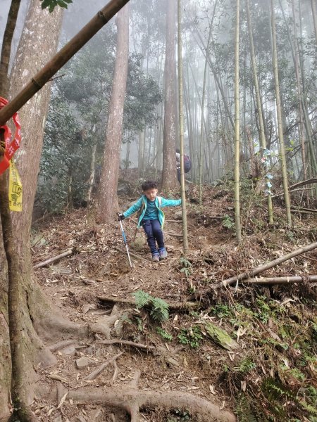 1100321阿興阿賢新竹油羅山1412794