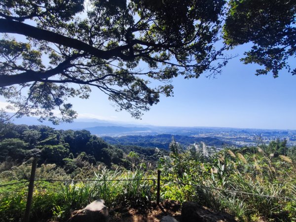 龜山福源山-牛灶坑山-鶯歌火車站走春遊2701318