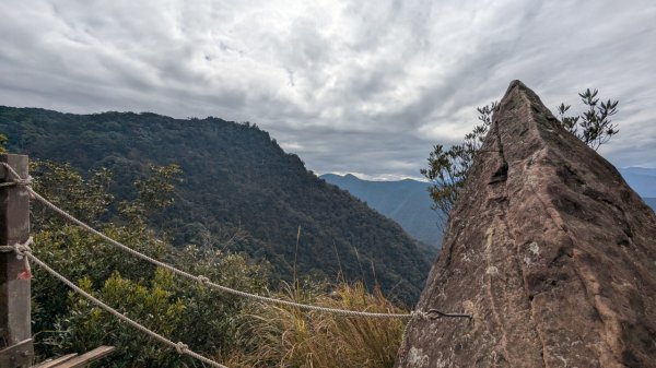 北得拉曼巨木步道2695504