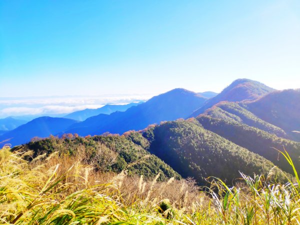 山毛櫸國家步道1135660