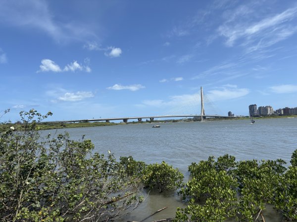 兩輪+兩腿(二十二)  淡水 淡江大橋> 八里挖子尾> 龍形