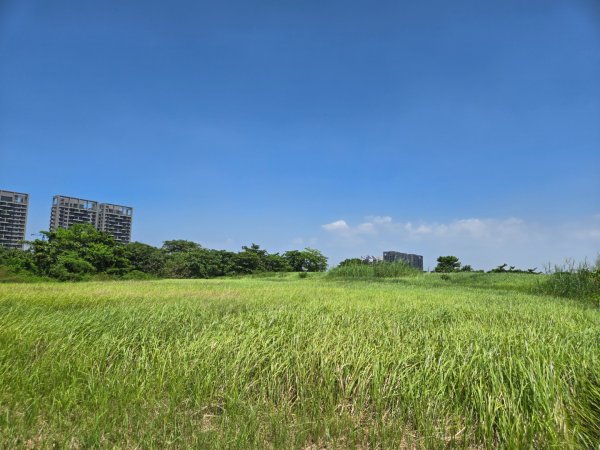 高雄都會公園3119767