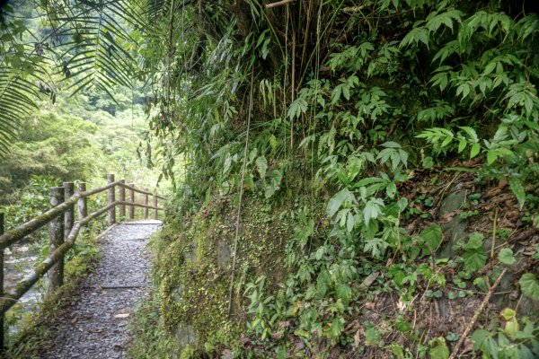 九寮溪步道與梅花湖2927079