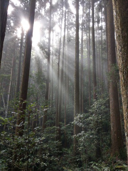 台版富士山「加里山」(小百岳#34) 2020/12/191424796