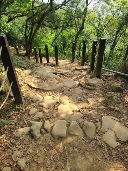 大坑6號上+8號探路+7號下2771422