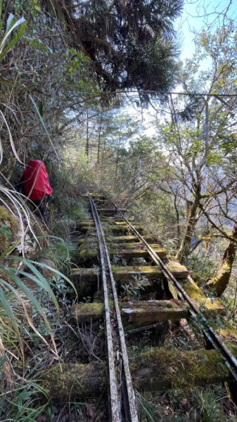 前進嵐山森林鐵道之好山好水好難走的嵐山工作站2427668