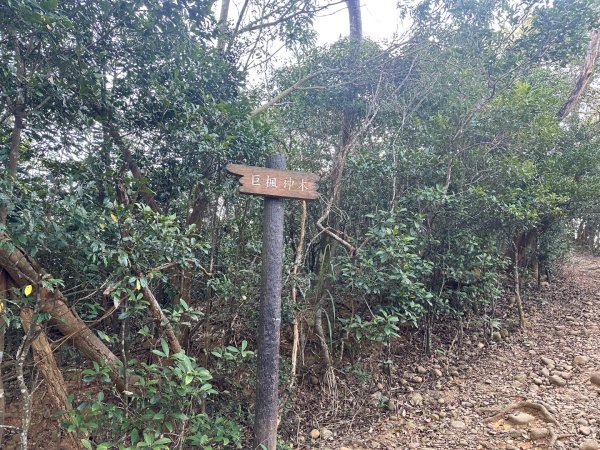 新竹新埔-蓮華山古道2628603