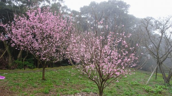 十八彎古道2026566