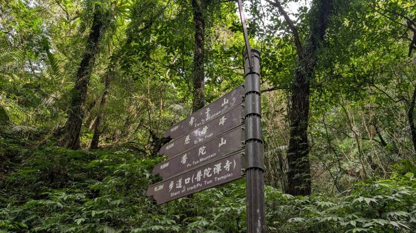 114.11.15平溪小黃山段-望古瀑布段之旅2937787