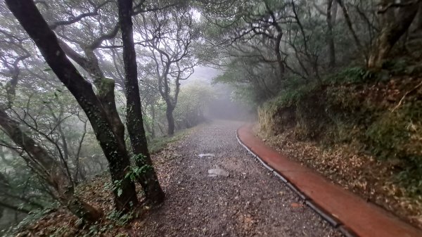 台北大縱走第一段1249228