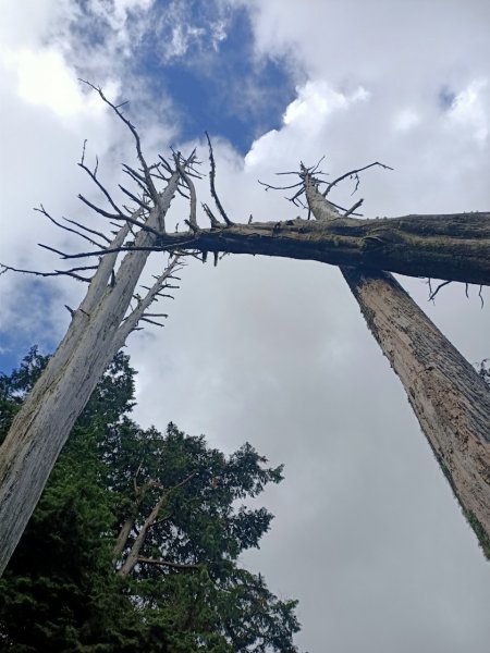 埔里六秀、中部四大名山:守城大山         隊名:鯛魚燒埔里訓練1506123