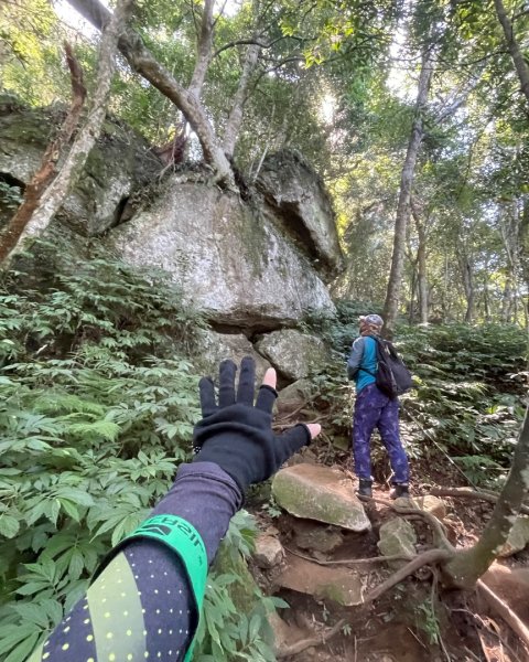 尖石🌳羅山林道野營-油羅山-竹苗小百岳3133063