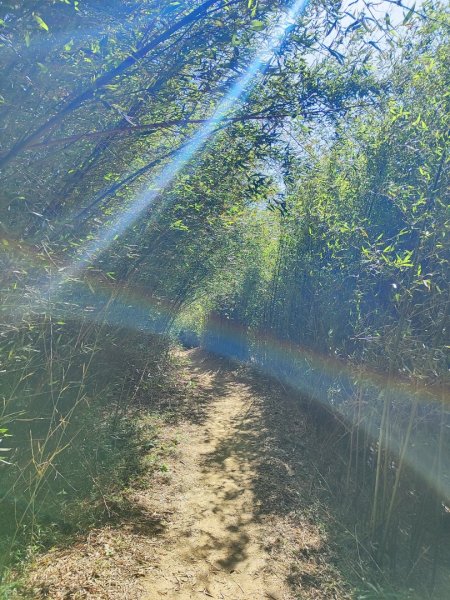 龜山福源山-牛灶坑山-鶯歌火車站走春遊2701325