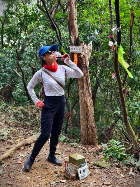 東勢大崙、東勢坑山、觀音湖山O走2986313