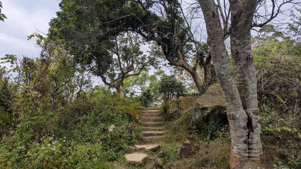 【台灣健行】台中天際線、南觀音山2695723
