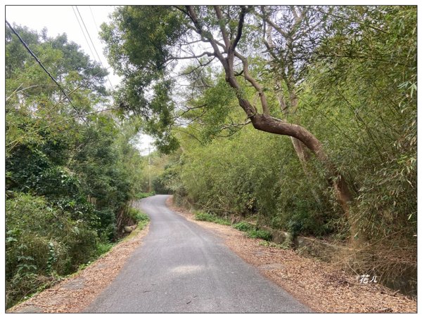 下南勢坑山、四角坪步道O型路線2717006