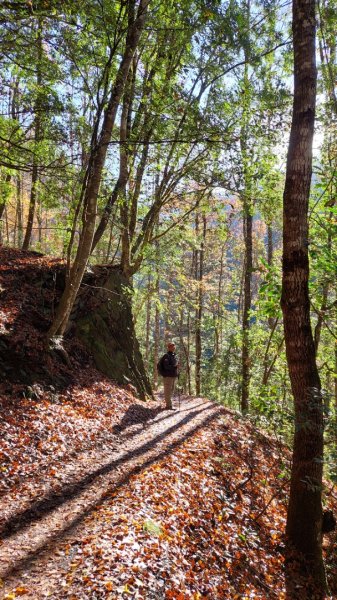 熱血一日霞喀羅賞楓之旅2785005