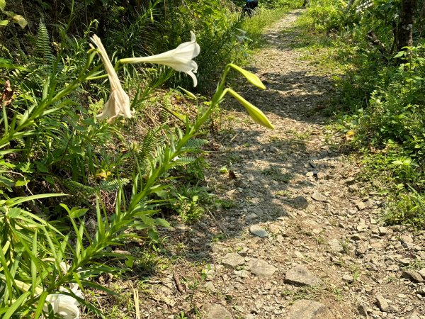 蘭嶼之旅第一天登達悟族聖山紅頭山2117109