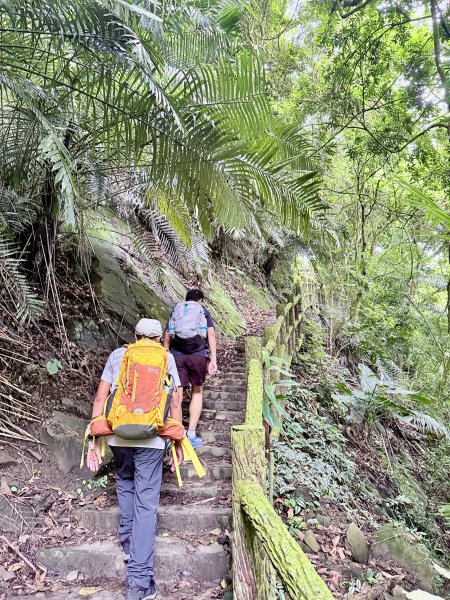 獨立山奉天岩健行趣（雲霧山林間的悠閒時光）   2026.7.303096390