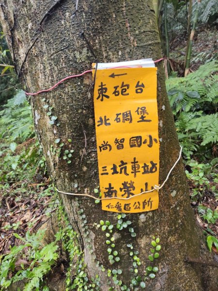 獅球嶺&劉銘傳隧道3010099