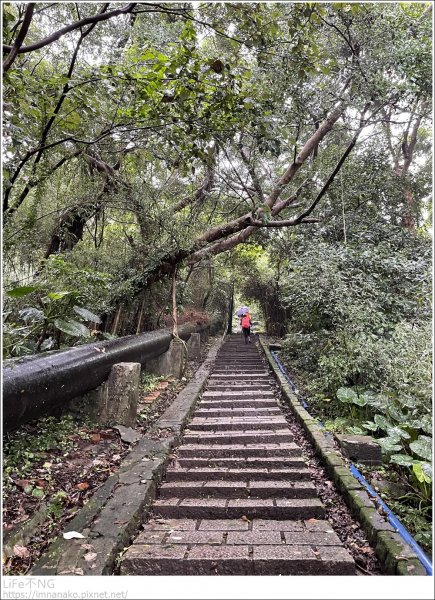 天母雨天健行1721579