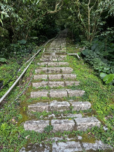 微笑山線【五分山系】菁桐煤礦段＋平溪小黃山段2906698