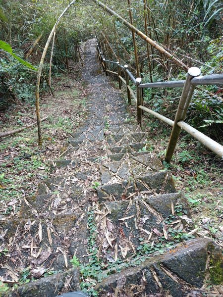 小百岳集起來，大湖尖山步道，又命名尖凍仔山