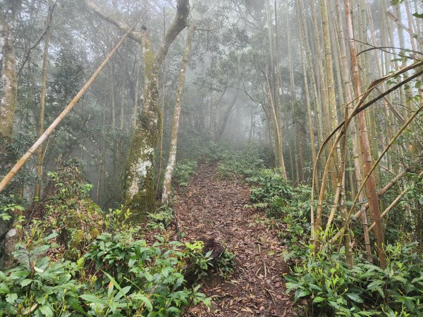 20230409那羅山、煤源山、大混山、道下山O型2141988