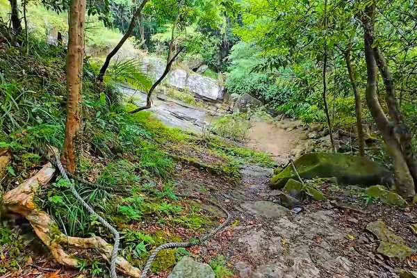 淡蘭古道中路百年山徑~暖東峽谷大環步道2846411