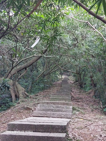 2024-01-01 淡蘭古道北路~燦光寮古徑（瑞芳-九份-牡丹）2391945