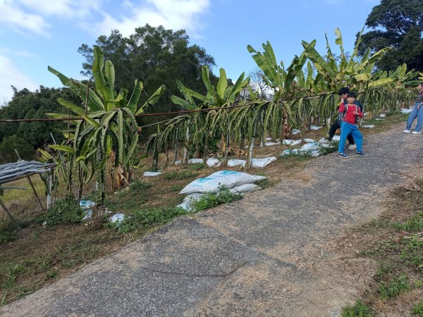 穿霧隘勇線-中三鹿2991745