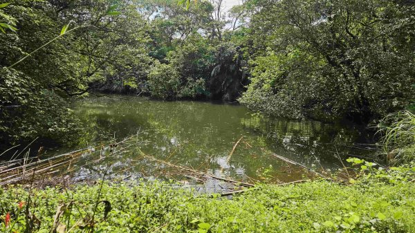 20250427魚衡山-南峰-南南峰-猴山岳北北峰-北峰-主峰-前峰-西峰下指南宮2771946