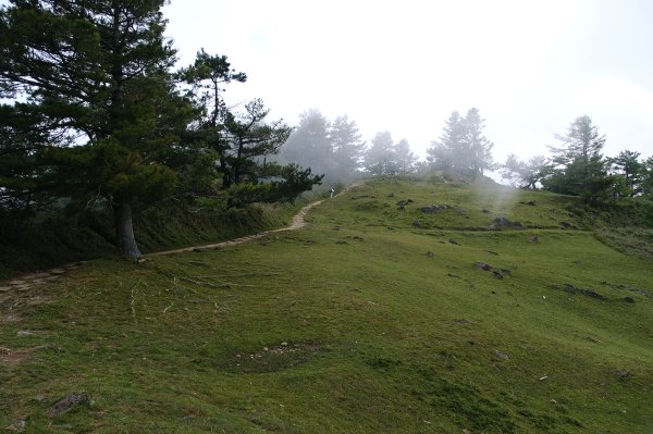 塔塔加五連峰2948771