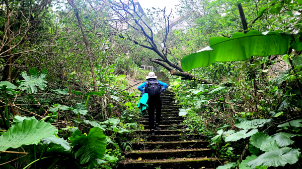 2025-0104 造鎮_五城山_天上山_三粒半_火焰山_慈惠堂_土城大潤發2682114