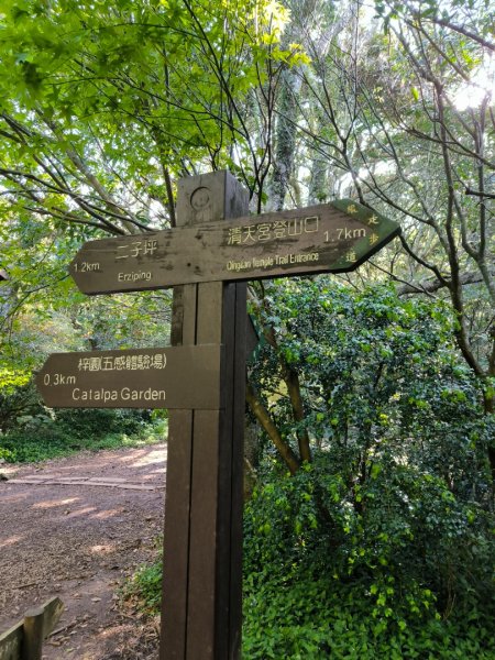 台北大縱走第一段3015746