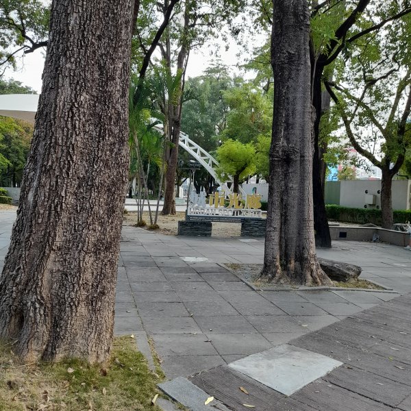 中央公園.高前金2343094