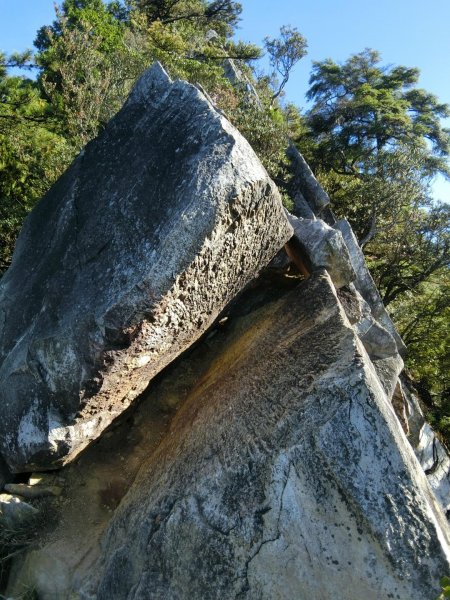 喜愛曬太陽又流汗又刺激又美麗446176