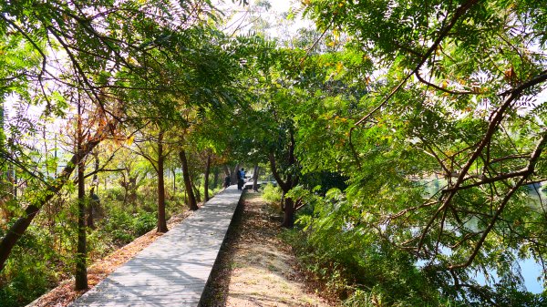 台南知事官邸等3002000