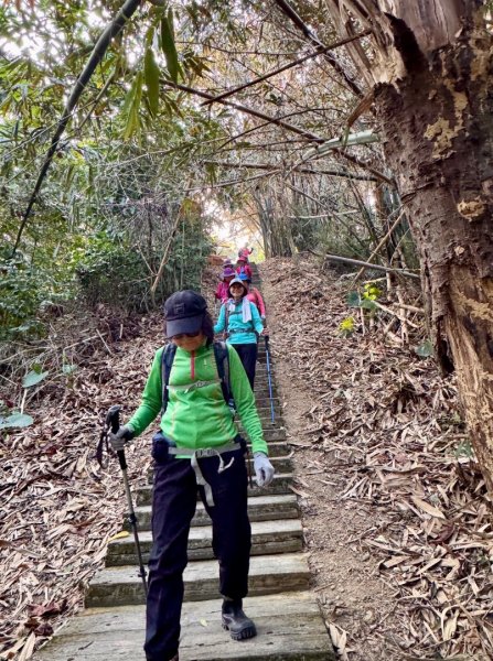 荷苞山登山步道走荷芭山小溪子山 午餐吃塔可飯幸福耶2996092