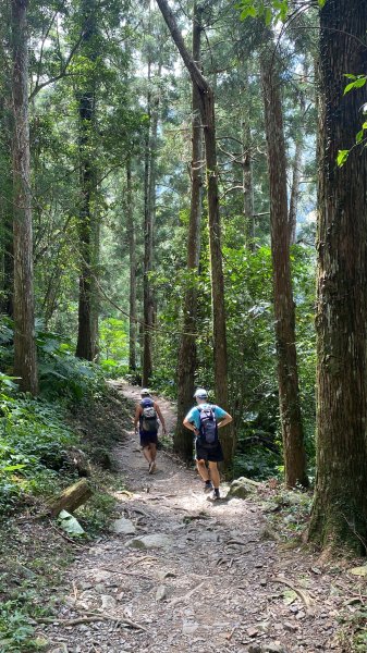 《探訪熊空秘境 2｜新北三峽雲心 × 森山瀑布 一柔一剛的雙瀑饗宴》