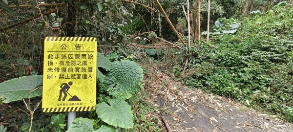 2025/02/08_苦苓腳古道2709245