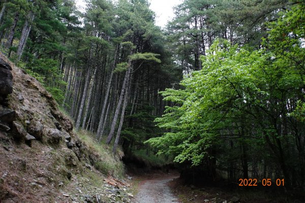 臺中 和平 北三錐山1697909