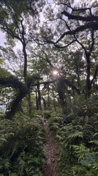 五溪縱走（之中「與世隔絕」的孤寂美感。3044654