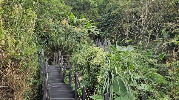 暗影山三進三出2366558