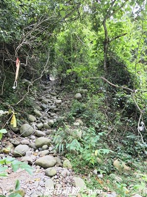 【台中北屯】大坑四號步道x頭嵙山3090953